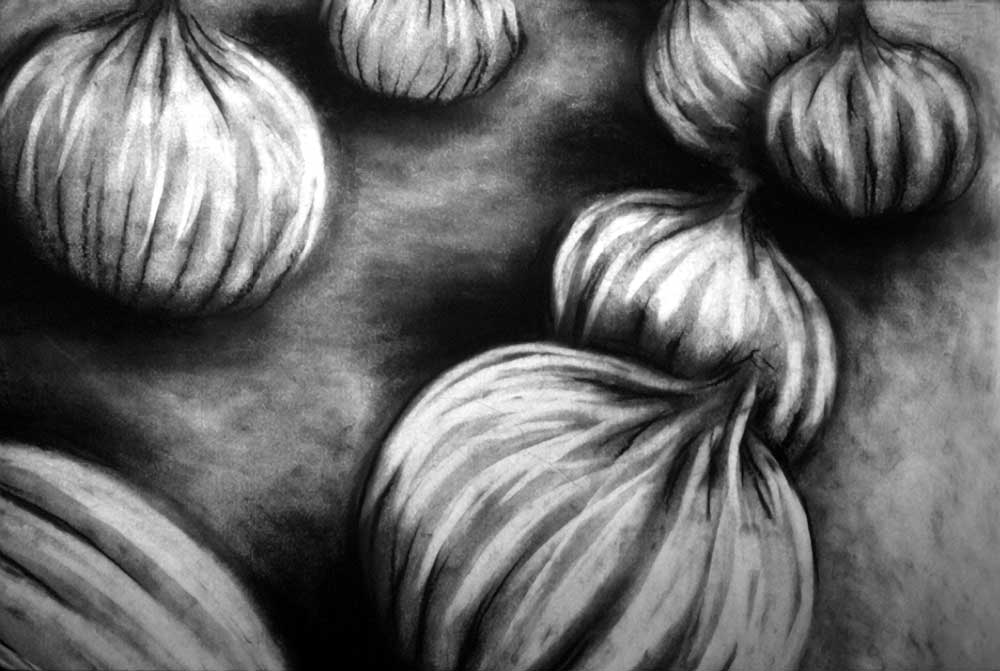 Some onions