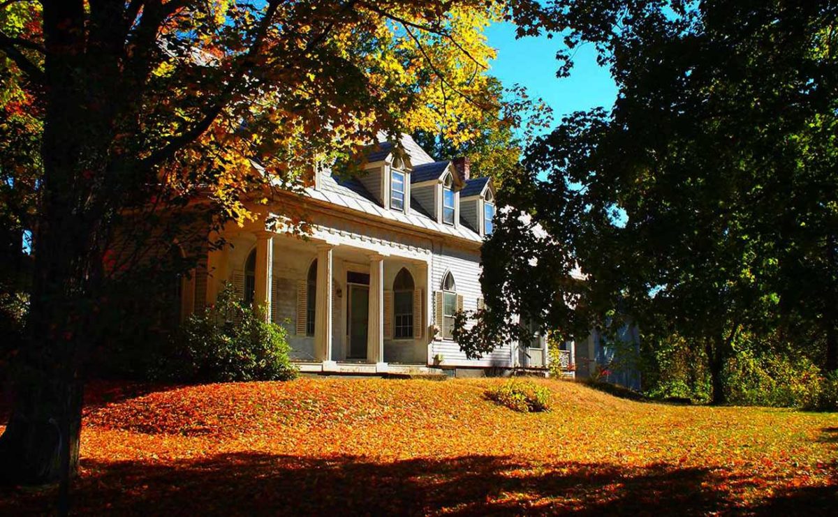 New England Gothic - photo by Trace Meek