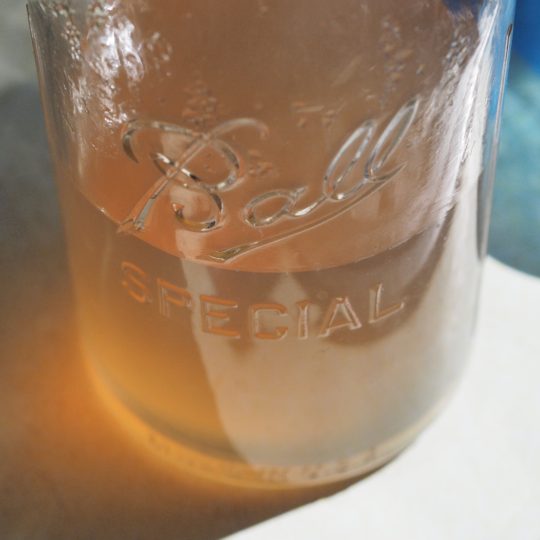 Fresh Gingerade