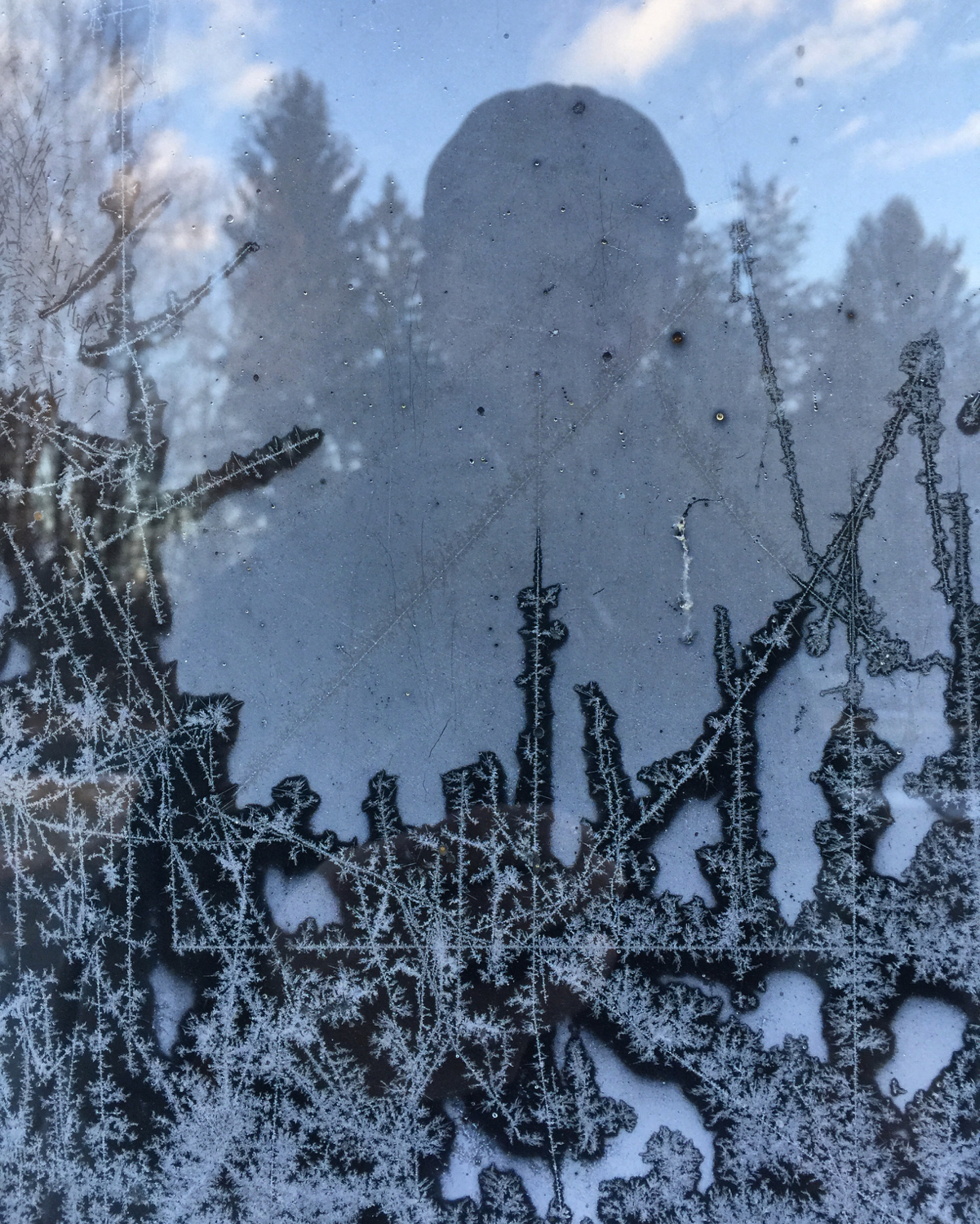 Frosty window pane — copyright Trace Meek