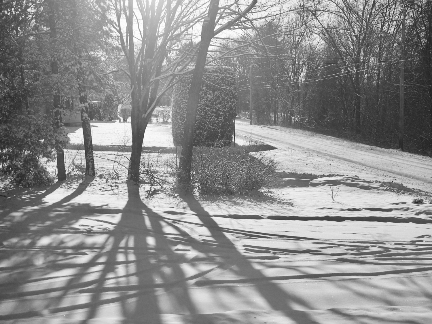Shadows on snow — copyright Trace Meek