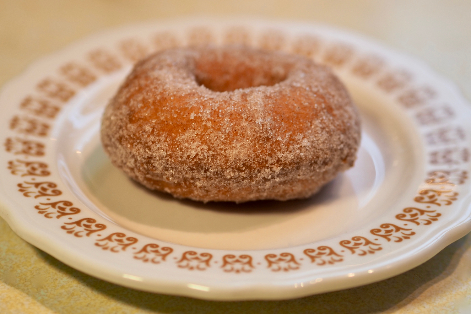 Perfect cider doughnut — copyright Trace Meek